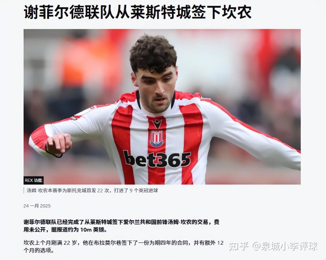 包含卡迪夫城引进黑马球员，冲击英冠头名的词条